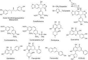 Compuestos fenólicos bioactivos contra diferentes tipos de cáncer. De tipo lignano (ácido nordihidroguayarético, podofilotoxina, etopósido, tenipósido); estilbeno (combrestatina A4, Combrestatina A4P), y flavonoide (quercetina, genisteína, rohitukina, flavopiridol, fenoxodiol, P276-00).