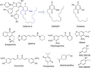Compuestos anticancerígenos en diferentes fases de estudio clínico aislados de plantas medicinales. De tipo quinona (β-lapachona, timoquinona, embelina, iriasferina A, SAN5201); amida (piperina, piperlongumina); Oxigenados (alcohol perilílico, dilapiol, curcumina), y análogos sintéticos (NSC295156, NSC698249).
