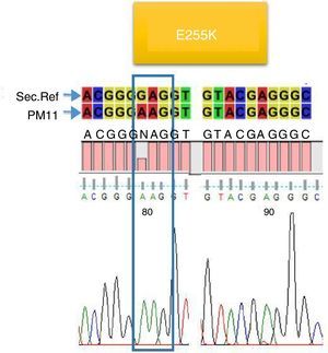Mutación encontrada en 2 pacientes (PM11, PM40).