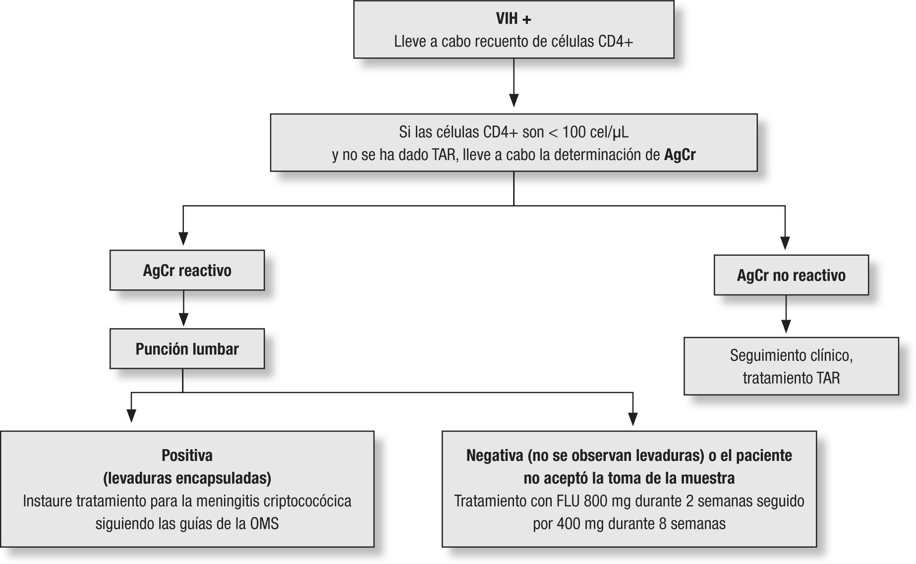 Consideraciones sobre la criptococosis en los pacientes con sida | Infectio