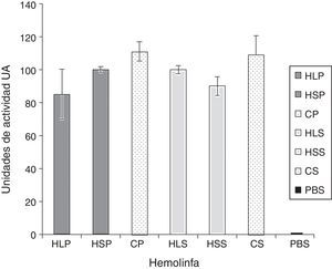 Áreas de inhibición expresadas como unidades de actividad, evaluadas por el método de difusión en agar, generadas a partir de la incubación de Pseudomonas aeruginosa y Staphylococcus aureus, en presencia de los tratamientos con hemolinfa. CP: ciprofloxacina contra P.aeruginosa; CS: ciprofloxacina contra S.aureus; HLP: hemolinfa de L.sericata contra P.aeruginosa; HLS: hemolinfa de L.sericata contra S.aureus; HSP: hemolinfa de S.magellanica contra P.aeruginosa; HSS: hemolinfa S.magellanica contra S.aureus; PBS: control negativo.