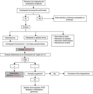 Aproximación diagnóstica del paciente con SD22q11. En un paciente con sospecha de cardiopatía congénita se procede a confirmar si es de tipo troncoconal; si este es el caso, se continúa con la evaluación de otras características frecuentes en el SD22q11. La presencia de la cardiopatía troncoconal más una de las otras características evaluadas hace el diagnóstico de un posible SD22q11. Seguidamente debe realizarse FISH para confirmar la microdeleción en 22q11.2. Si el FISH es positivo, se considera un diagnóstico definitivo; si es negativo y persiste la sospecha clínica pueden realizarse otras pruebas genéticas, de otra manera se sugiere descartar otros diagnósticos. FISH: fluorescence in situ hybridization.