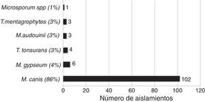Distribución del aislamiento en cultivo según agente (n=119).