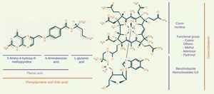 Chemical structure of folic acid and cyanocobalamin.