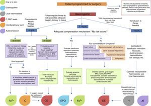 Algorithm for management of surgical patients and low haemoglobin levels.