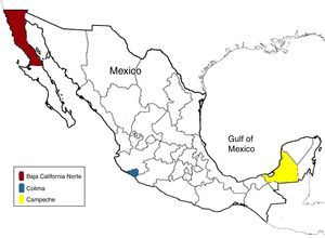 Areas and regions in Mexico where HEV cases were found. These areas are marked with different colors. The region marked in blue is the area where most of the cases occurred, the region marked in red is the 2nd and the region marked in yellow is where the least cases were found.