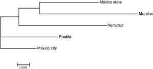 Neighbor–Joining Dendogram showing relatedness between the top five Mexican populations. Genetic distances (Dc) between populations were calculated by using HLA-A, HLA-B and HLA-DRB1 locus frequencies.