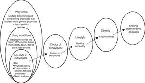 Sequence of variables for modifying risk factors for chronic degenerative diseases.