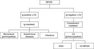 Classification of MPGN based on the presence or absence of Ig and the presence of C3 using immunofluorescence. MPGN: membranoproliferative glomerulonephritis. Ig: immunoglobulins. DDD: dense deposit disease.