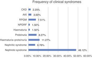 Frequency of clinical syndromes present at the time of biopsy. AKI: acute kidney injury, CKD: chronic kidney disease, NPDRF: nephrotic-range proteinuria with decline of renal function, RPGM: rapidly progressive glomerulonephritis.