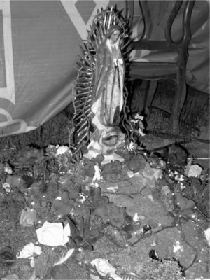 Altar de la Virgen de Guadalupe en Mazatlán, Sinaloa (fotografía: Lorenzo Armendáriz).