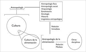 Grados relativos de interacción de la antropología con otras disciplinas (modificado de Aguilar 2006: 122).