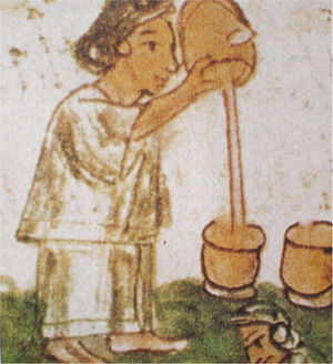 Códice Florentino, libro décimo, f. 70, capítulo 26, siglo XVI. Haciendo buen cacao (digitalización del dominio público).