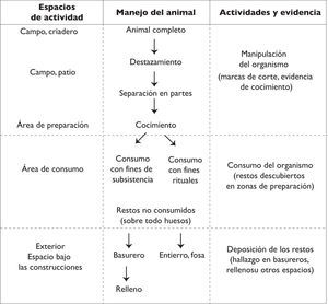 Diagrama del manejo, “probable”, de consumo de elementos cárnicos en la época prehispánica (elaborado por Raúl Valadez).