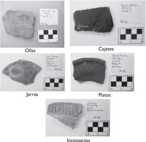 Fragmentos de las formas cerámicas a las que se les realizó el estudio de residuos químicos para identificar su función.