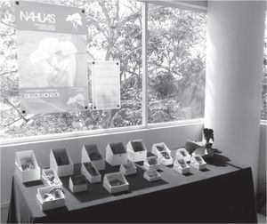 Una de las secciones de la Primera Exposición de Hongos Silvestres Comestibles Deshidratados. Villahermosa, Tab., 2012 (fotografía de Marlene Medellín).