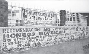 Campaña de prohibición y desaliento en la cultura de los hongos; Ahuazotepec, Pue., 2012 (fotografía de Marlene Medellín).