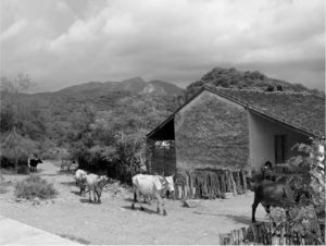 El pueblo de La Sávila, Sinaloa, y al fondo el cerro del legendario taste precolombino (Fotografía: Manuel Aguilar-Moreno).