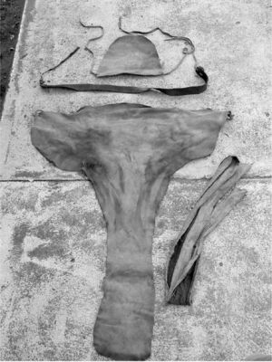 Las cuatro piezas del fajado (fotografía: Manuel Aguilar-Moreno)