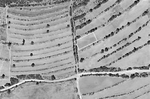 Imágenes tomadas desde el globo aerostático donde se aprecian manchas sutiles en el área de estudio (fotografía: Julia Pérez Pérez, Proyecto agricultura en terrazas en el cerro San Lucas, 2008).
