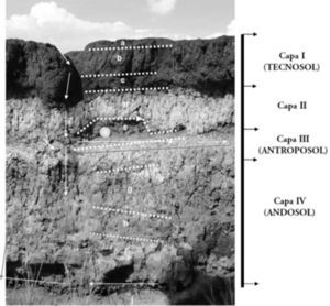 Secuencia estratigráfica de la Unidad A, perfil norte.
