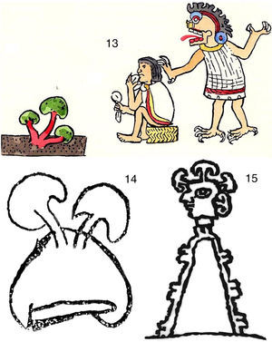 13: Parte del Códice Magliabecchiano (Wasson y Wasson, 1957). 14: Glifo del Códice 27 (del Caso, 1963). 15: Glifo del Códice de Zacatepec (de Wasson, 1980).