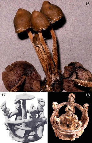 16: Psilocybe zapotecorum (de Halling). 17: Pieza capacha con indígenas sorprendidos al ver un Psilocybe gigante, obsérvense las serpientes en los sombreros. 18: Pieza capacha con una ceremonia en honor de Quetzalcóatl (de Donitz et al., 2001).