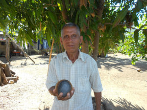 “Don Cosme” mostrando una de sus pelotas. Fotografía de la autora.