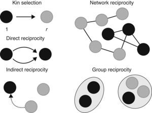 Nota: Los cinco mecanismos de la cooperación según Martin Nowak, sobre los que se montan los mecanismos del bt y la ms (Nowak, 2006a: 1,562). Los puntos grises simbolizan a los desertores y los negros a los cooperadores.