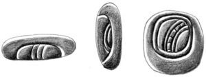 Mirror hieroglyphs (from left to right) T24, T121, and T617. Drawn after Moisés Aguirre based on the Macri and Looper’s drawing (2003: 274-275).