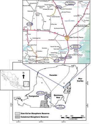 Comunidades rurales en la Península de Yucatán donde se realizó el trabajo de campo del presente estudio (febrero-abril de 2011).