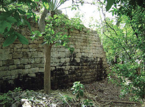 Muro poniente del cuerpo inferior de la estructura 1. Foto: Miguel Covarrubias.