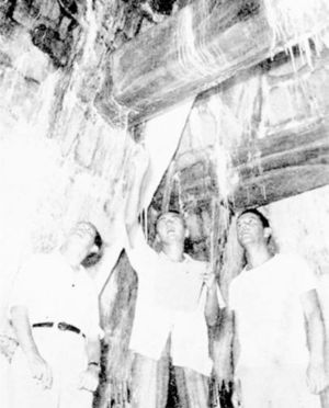 Ingreso de la Cámara del Templo de las Inscripciones de Palenque. Jorge Ángulo a la derecha, Arturo Romano a la izquierda y al centro Alberto Ruz. Publicada por la revista Life en 1953: 73.