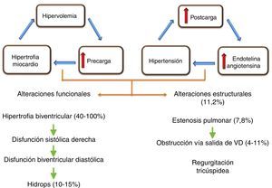 Alteraciones hemodinámicas en el síndrome transfusión feto-feto.