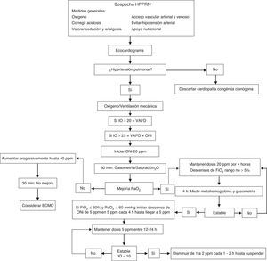 Abordaje y flujograma de manejo de la HPPRN con óxido nítrico inhalado. IO: índice de oxigenación. Metahemoglobinemia: debe ser monitorizada a las 4h de inicio, posteriormente cada 8h las primeras 24h, y después cada 24h. Descontinuar ONi si metahemoglobinemia es mayor del 5%.