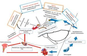 Fisiopatología de la lesión neuronal.