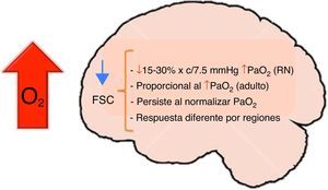 O2 y flujo sanguíneo cerebral.
