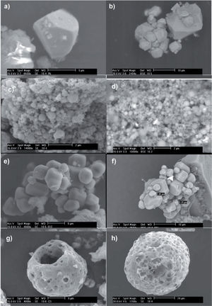 Micrographs of air-transported particles from anthropogenic and industrial sources: (a) lead oxide at TG station, (b) particles found in battery manufacturing, (c) particle aggregates of iron and zinc oxides with traces of lead found in TG samples, (d) particle aggregates obtained from steelmaking processes, (e) calcium sulfate particles found at TG station, (f) waste particles from the chemical industry, (g) carbon-sulfur particles with traces of vanadium and nickel with porous and spherical morphology observed at the TG site, and (h) particles from industrial processes related to burning fuel oil at high temperature.