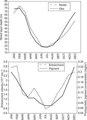 Top: Comparison of the annual cycle of the mixed layer depth from observations (solid line) and model results (dashed line). Bottom: Annual cycle of the entrainment velocity (dashed line) and the photosyntetic pigment concentration (solid line). Adapted from Mendoza et al., 2005.