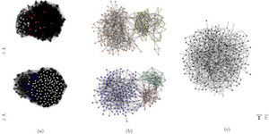 El estado final de una red con N = 400 y k0=4 para g = 5 (a), 100 (b) y 100000 (c). Las comunidades en la red heterogénea del caso intermedio (b), coloreadas para su fácil identificación, se encontraron con el algoritmo de Lancichinetti et al. (2008) y corresponden visualmente con las comunidades encontradas por el software de visualización de redes utilizado.