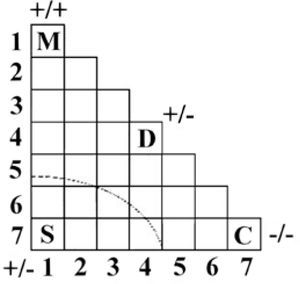 Matriz triangular de H. Grimm.