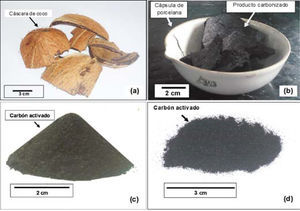 Carbón activado obtenido a partir de un material de desecho doméstico (cáscara de coco): (a) material de partida, (b) producto carbonizado; (c) y (d) carbón activado obtenido al final del proceso.