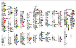Estudios de asociación de genoma completo reportados hasta marzo de 2010. Los círculos indican la localización cromosómica de cerca de 800 snps significativamente asociados (P < 5 × 10–8) con una enfermedad o un rasgo y reportado en la literatura (545 estudios publicados hasta marzo de 2010 dieron lugar a las asociaciones anotadas). Cada enfermedad o rasgo esta codificado en un color distinto. Adaptada de la figura del Instituto Nacional de Investigación del Genoma Humano (http://www.genome.gov/gwastudies). Figura traducida de Manolio, T. A. (2010), con autorización.
