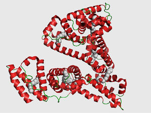Representación de la estructura terciaria de la albúmina, proteína transportadora de mayor abundancia en el plasma sanguíneo humano. Está formada por 585 aminoácidos (9160 átomos) y su masa molecular es de 67 kdaltons.