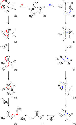 Estructuras hipotéticas propuestas para explicar la hidrólisis de la tioacetamida en medio básico, tomando como base las estructuras 3 y 8 planteadas por Peeters y De Renter, 1976.