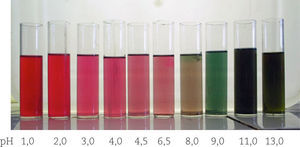 Escala de cores obtida para o extrato de hibisco. (Ver fotos a color en la segunda de forros.)