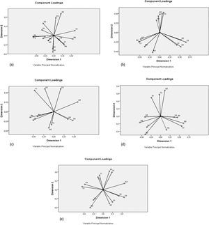 Graphs got from PRINCALS analysis:3 (a) Pauline; (b) Patrice; (c) Irene; (d) Maya; (e) Tanja.