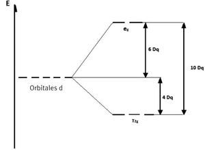 Esquema del desdoblamiento de orbitales d en un compuesto de coordinación con simetría octaédrica. Los orbitales eg son los orbitales axiales dz2y dx2-y2 y los orbitales t2g son los orbitales interaxiales dxy,dxz,dyz. La energía total del desdoblamiento se representa como 10Dq, energía relativa de la diferencia entre los valores de energéticos de eg y t2g, los cuales son 6Dq y 4Dq, respectivamente.