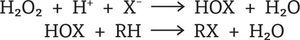 Reacciones primaria y secundaria llevadas a cabo por la actividad de las haloperoxidasas (Michibata, 2012)