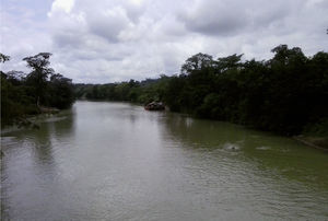 Zona de Condoto-Chocó. Zona de explotación platinífera y aurífera.